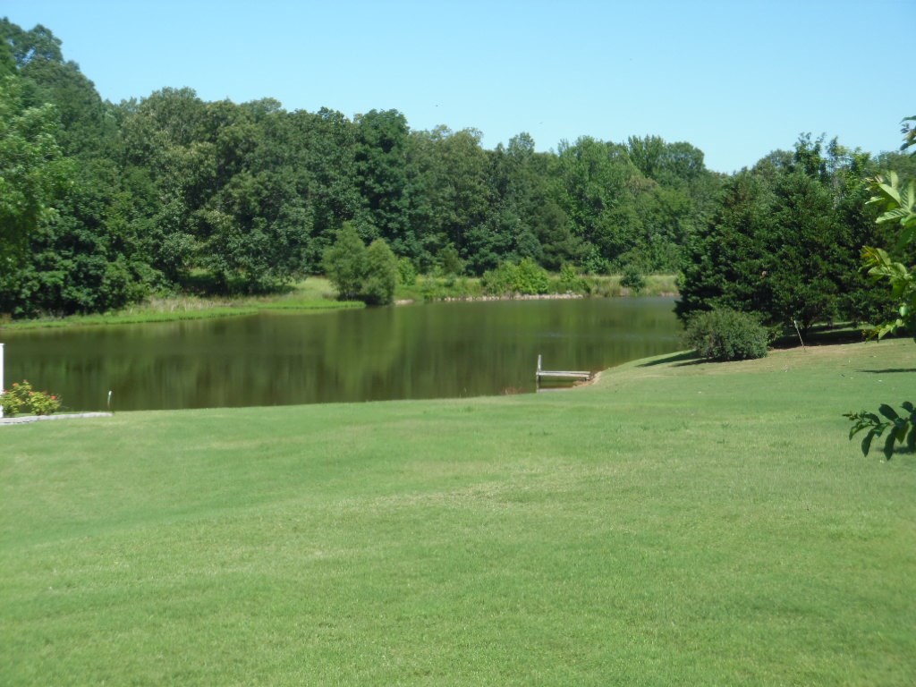 View of Subdivision Lake from yard